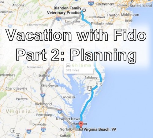 Vacation Map