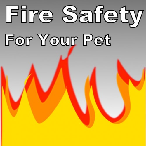 Fire Safety for Pets