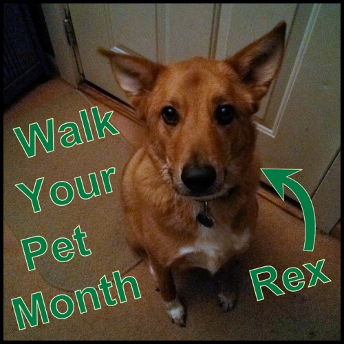 Walk Your Pet Month RESIZED