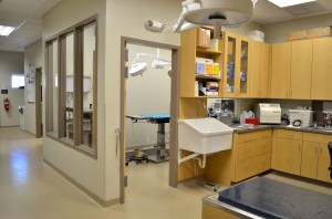 Surgery Suite