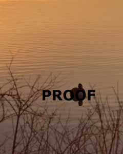 sleepy sunrise canada goose at middlecreek on water w twiggy foreground 8×10 portrait PROOF